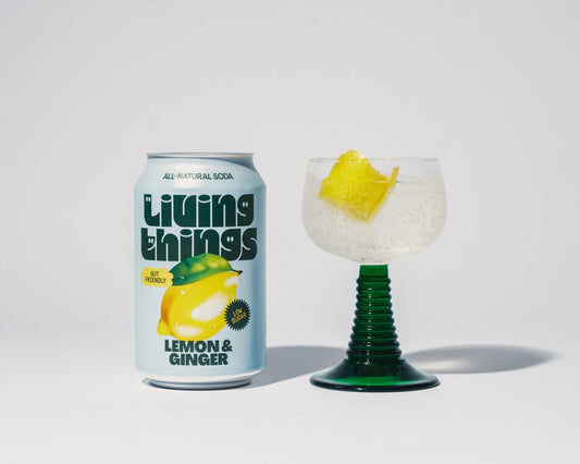Living Things Lemon & Ginger Soda – 12x330ml