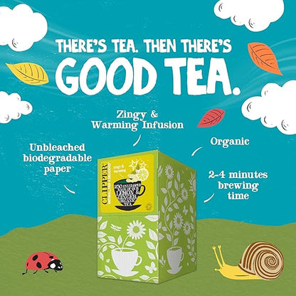 Clipper Lemon & Ginger Tea Bags | 250 Individually Wrapped
