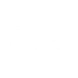 The Protein Ball Co.