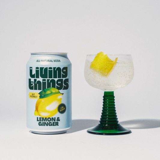 Living Things Lemon & Ginger Soda 12 x 330ml