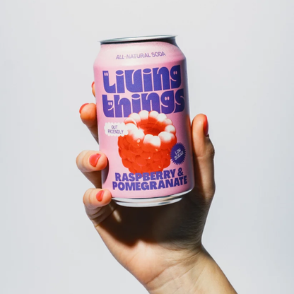 Living Things Raspberry & Pomegranate Soda 12 x 330ml