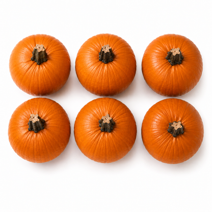 Halloween Pumpkins – Pack of 6