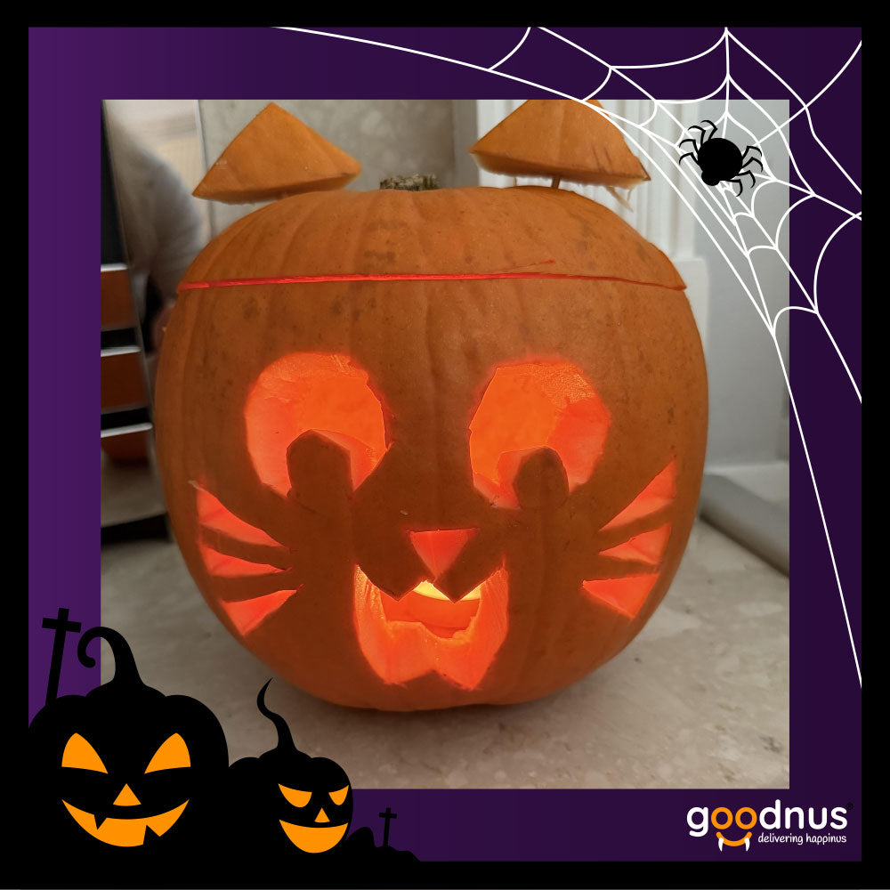 Halloween Pumpkins – Pack of 6
